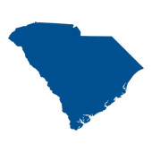 South Carolina state icon
