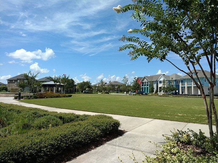 Laureate Park at Lake Nona Cottage Homes Builder Orlando David Weekley Homes