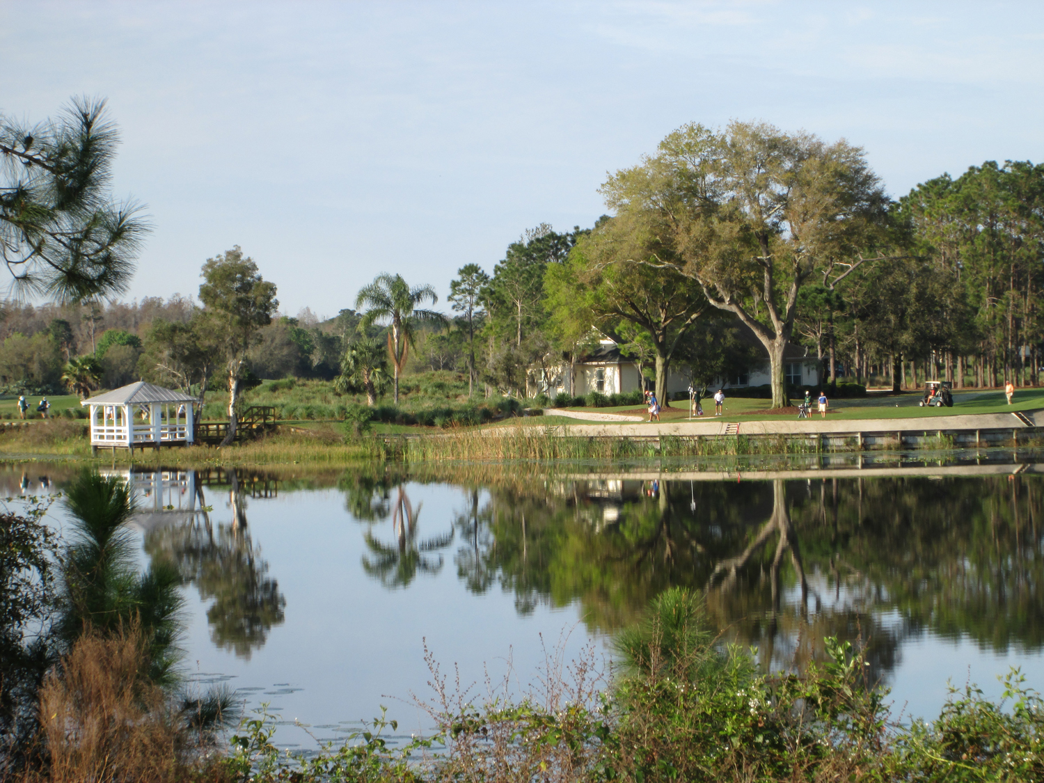 Old Memorial Estates David Weekley Homes