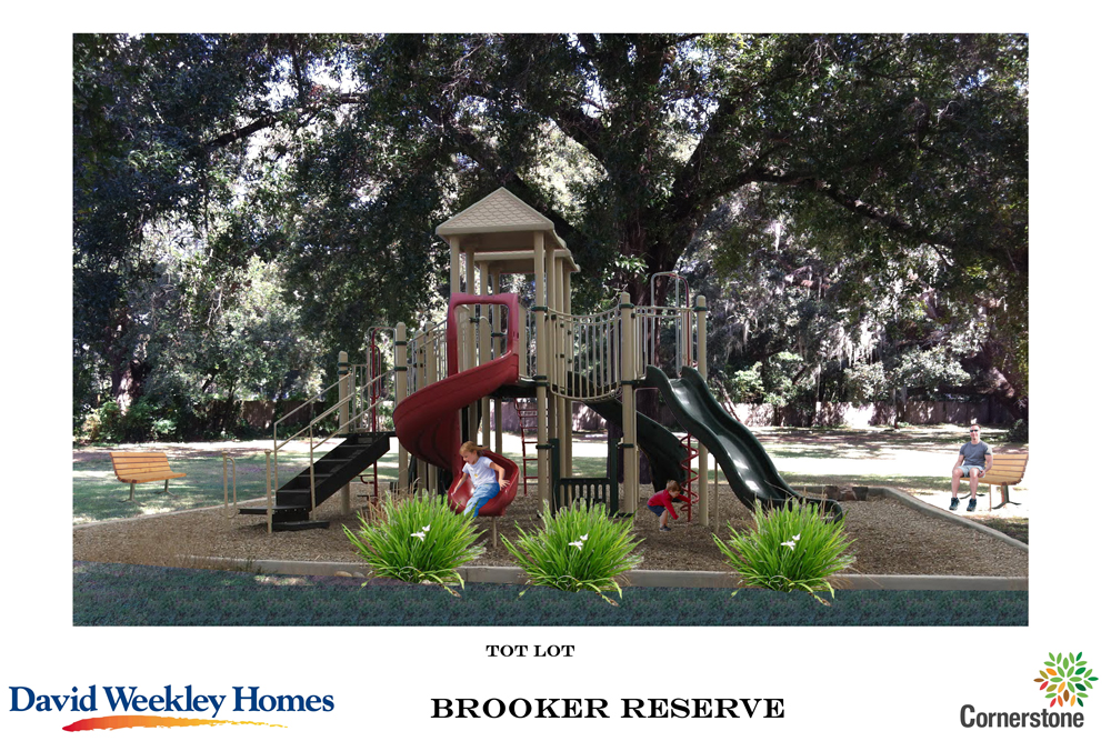 Brooker Reserve David Weekley Homes