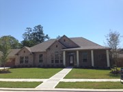 Primary External Image