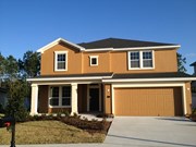 Primary External Image