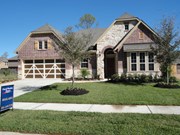 Primary External Image