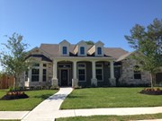 Primary External Image