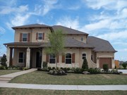 Primary External Image