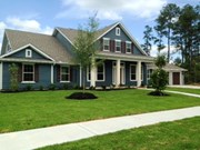 Primary External Image