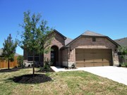 Primary External Image