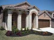 Primary External Image
