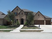 Primary External Image