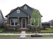 Primary External Image