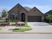 Primary External Image