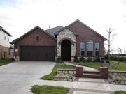 Primary External Image