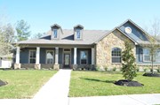 Primary External Image