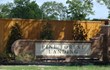 Pine Forest Landing