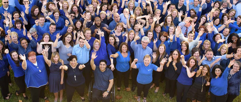 Team Members