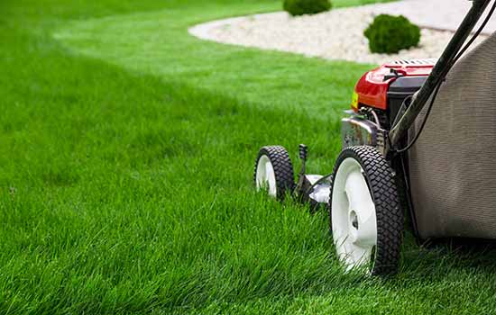 lawnmower on green grass