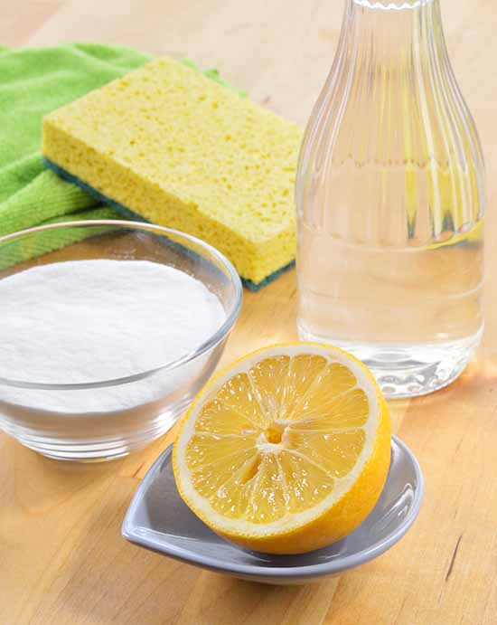 lemon wedge with salt, water and a kitchen sponge