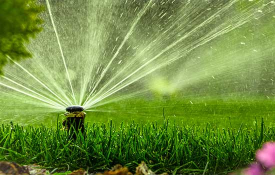 sprinkler head