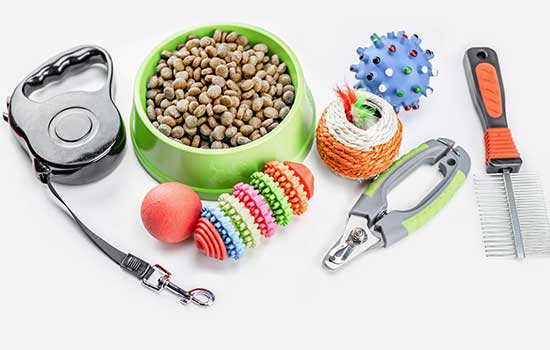 collection of pet supplies