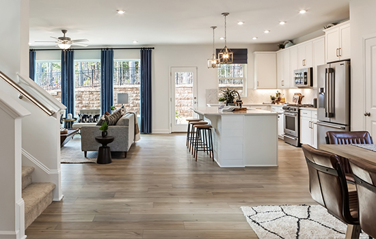 A view of the open floor plan, overlooking the kitchen, family room and backyard from the entry of a David Weekley model home.