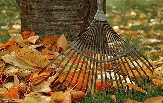 raking leaves