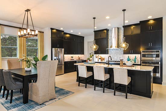 The Saddleview in Orlando, FL