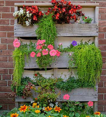 vertical garden