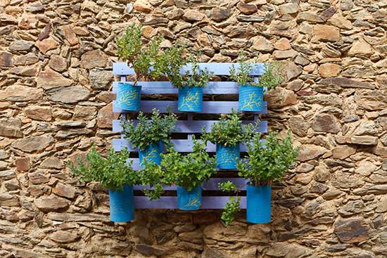 vertical garden