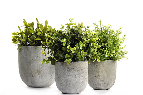 concrete planter