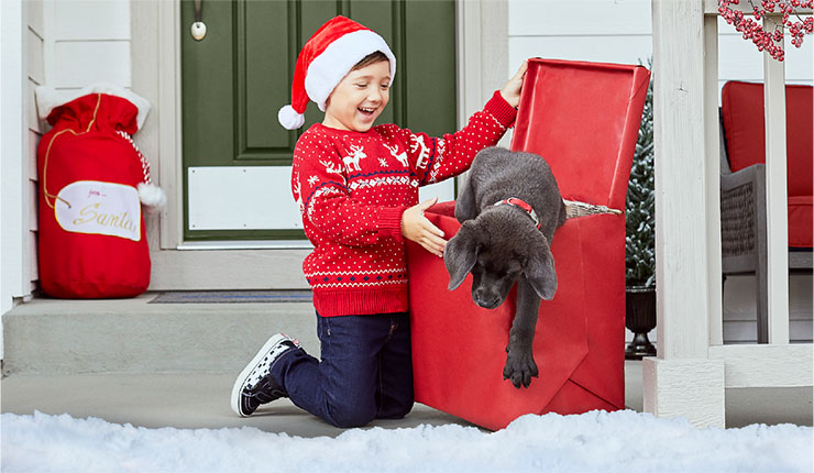 Give the Gift of Home