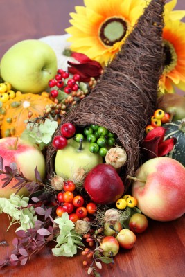 By following a few simple steps, you can make your own cornucopia this holiday season!