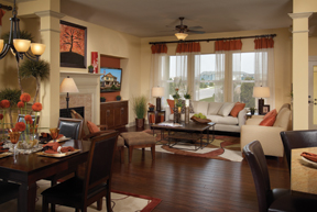Hardwood Floor Maintenance