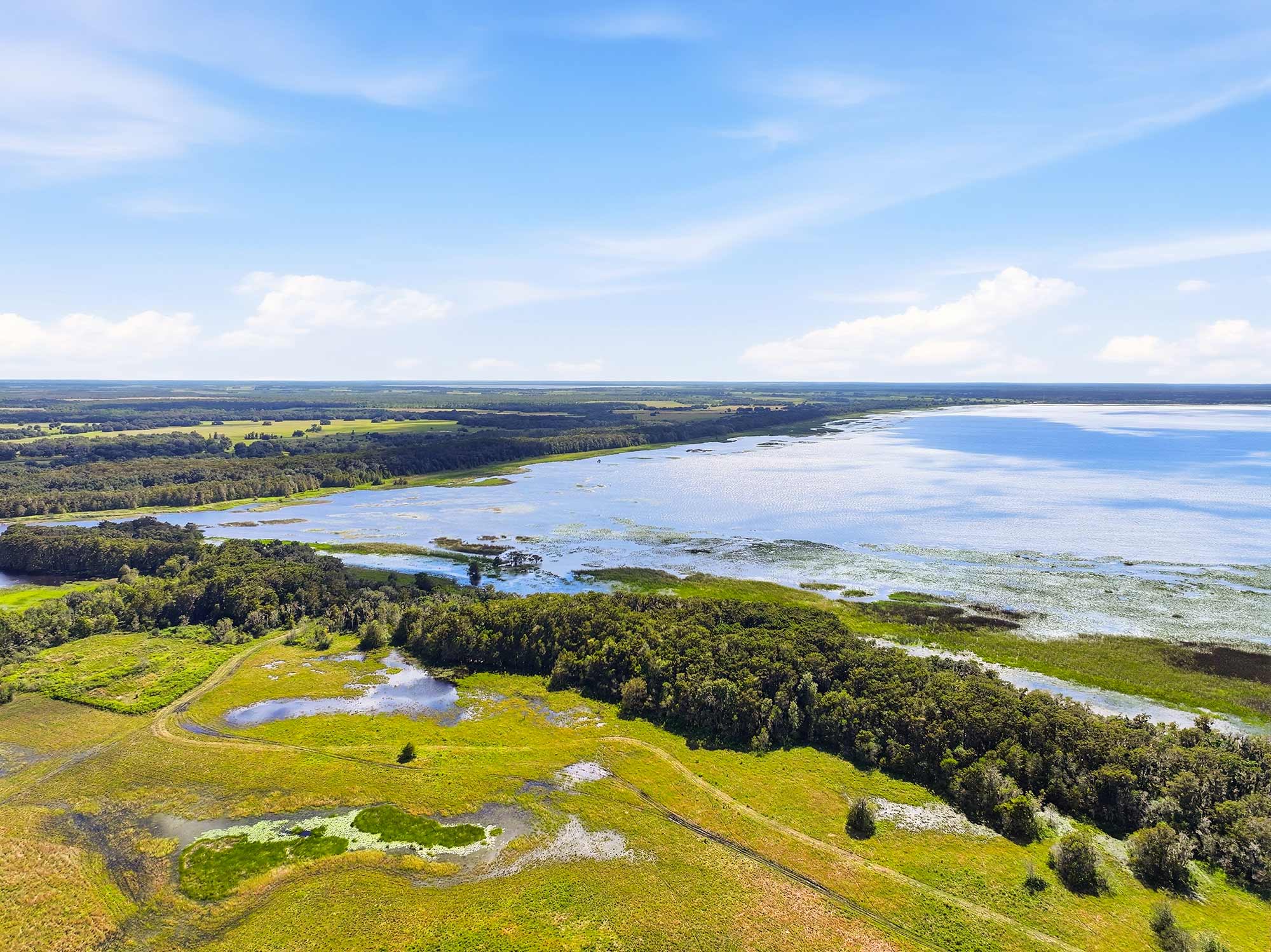 Palmeras at Crossprairie