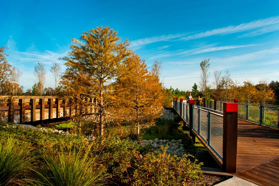 Soleta at Starkey Ranch