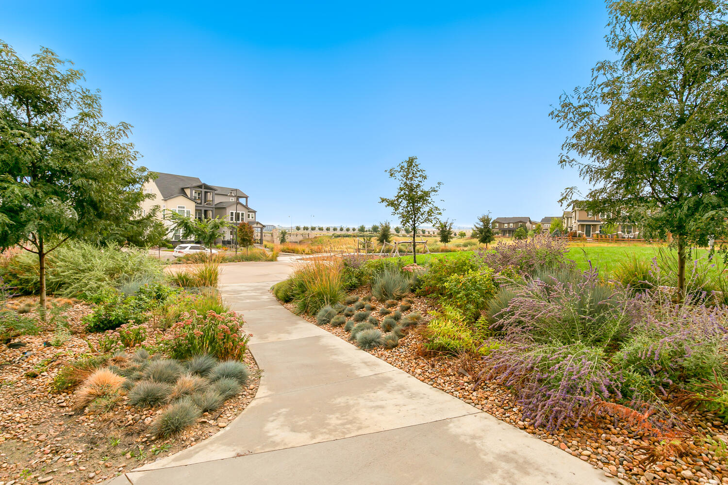 Baseline Parkside West - Single Family Homes