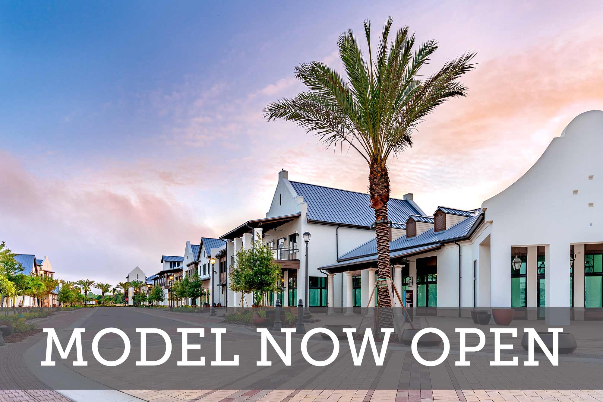 Emerald Landing at Waterside at Lakewood Ranch Cottage Series