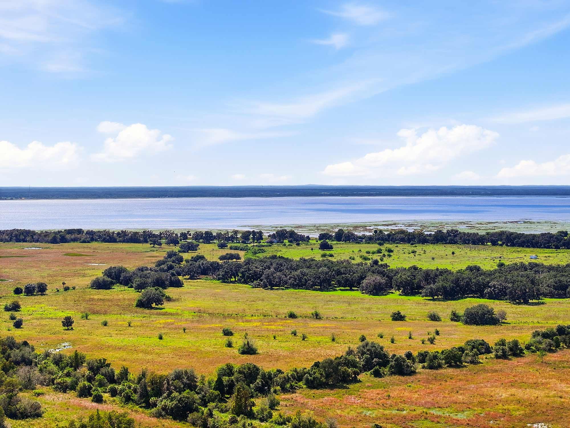 Palmeras at Crossprairie