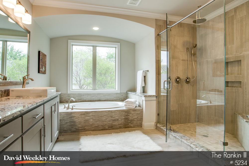 Owner's Bath