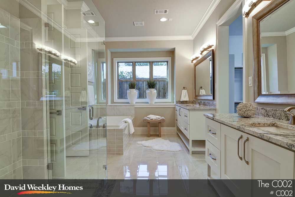 Owner's Bath