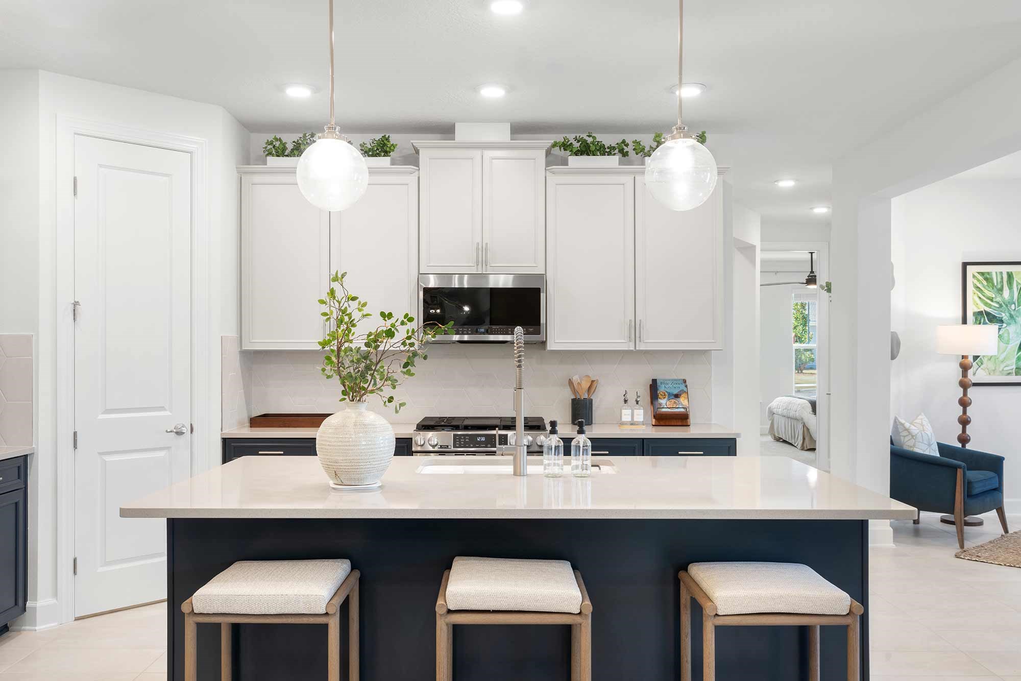 Model home view 9