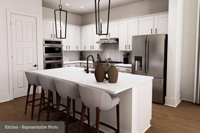 The Snapdragon - Kitchen