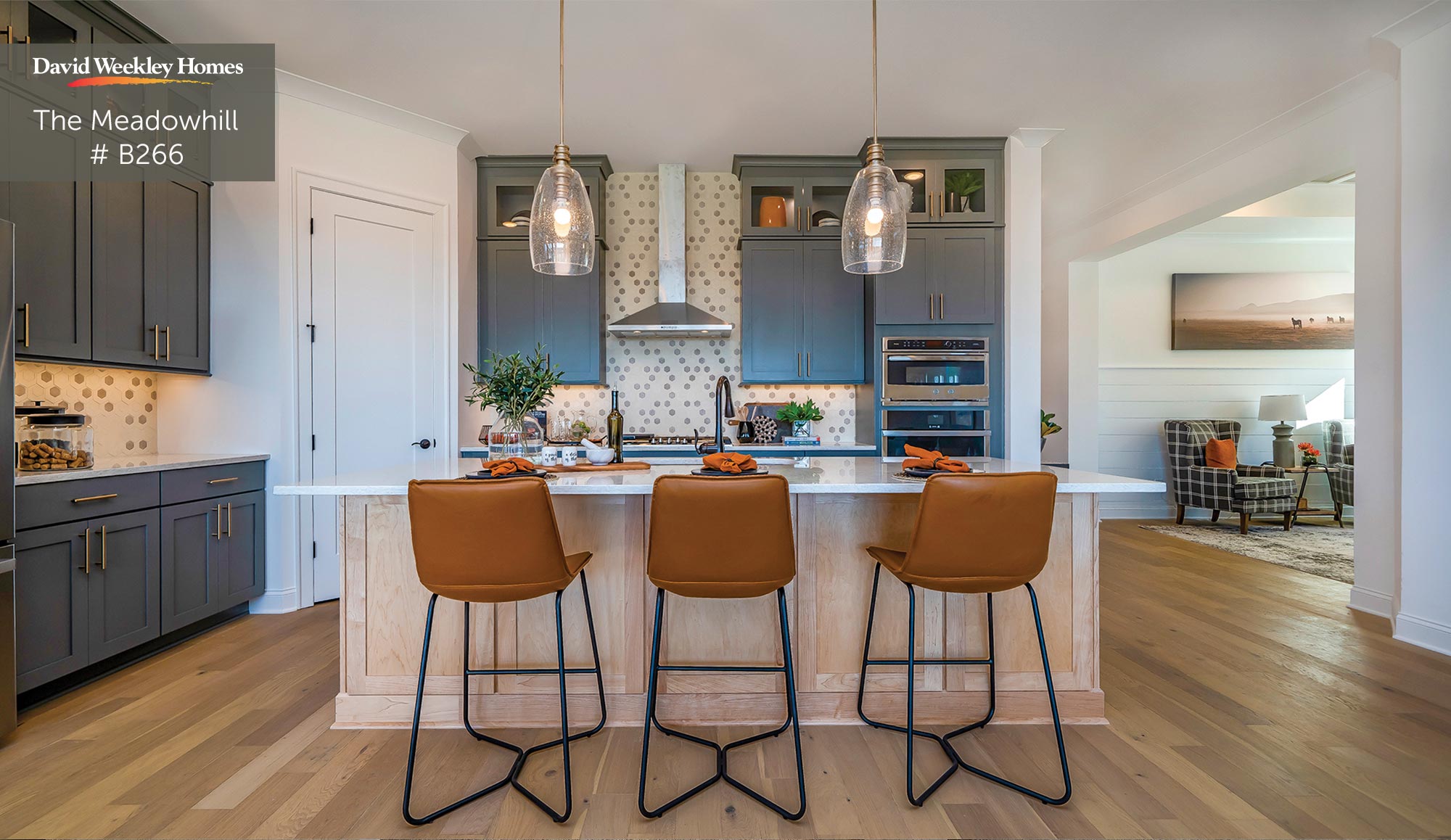 Model Home Gallery | David Weekley Homes