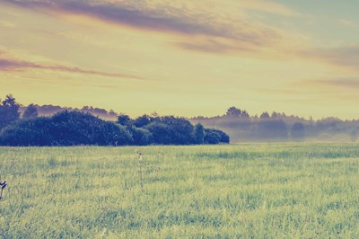 Sell Us Your Land in the Charleston Area 